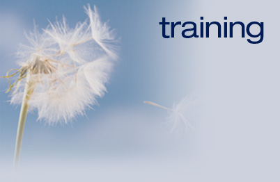 Business Communication and Soft Skills Training