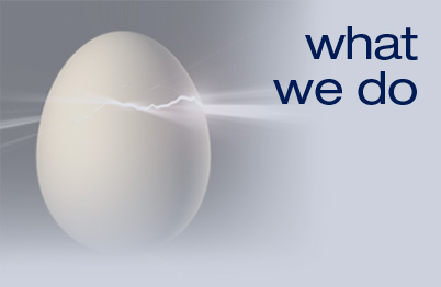 What Advance Consulting Does