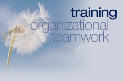 Organizational Teamwork